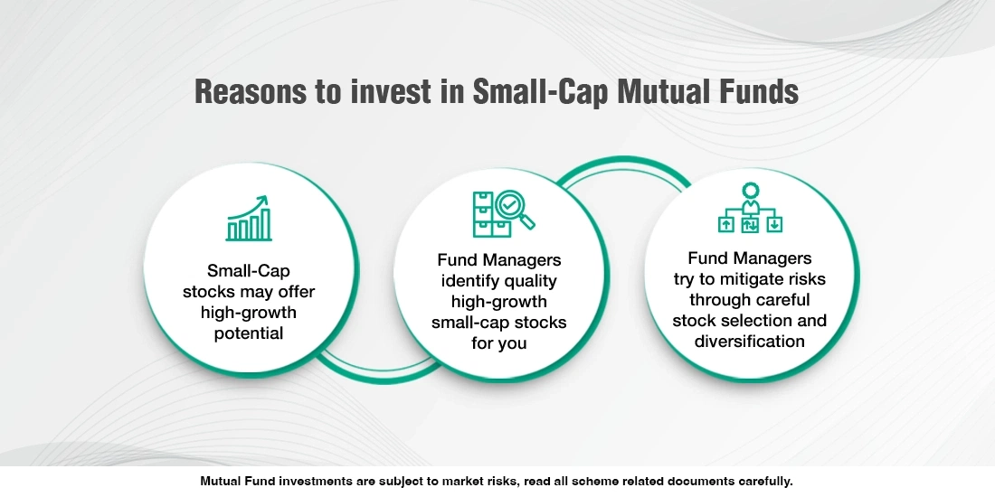 What are Small Cap Mutual Funds