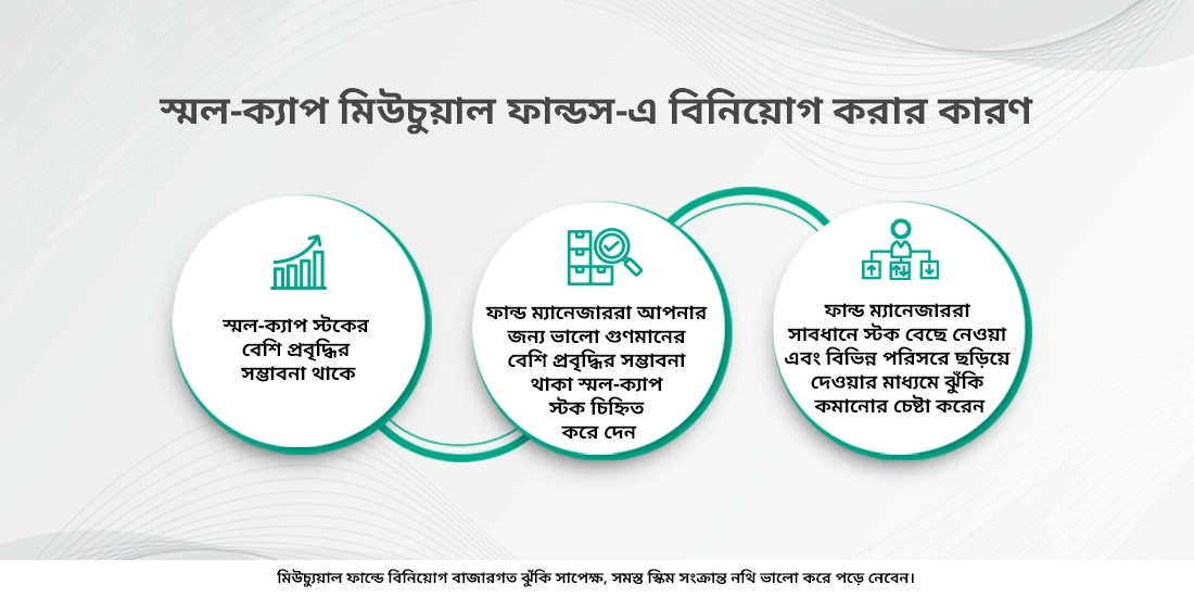 স্মল-ক্যাপ মিউচুয়াল ফান্ডস কাকে বলে?