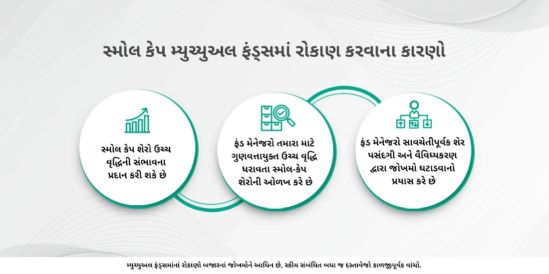 સ્મોલ કેપ મ્યુચ્યુઅલ ફંડ્સ શું છે?