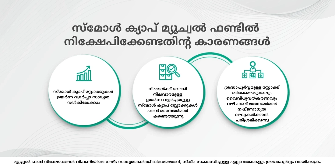 എന്താണ് സ്മോൾ ക്യാപ് മ്യൂച്വൽ ഫണ്ടുകൾ?