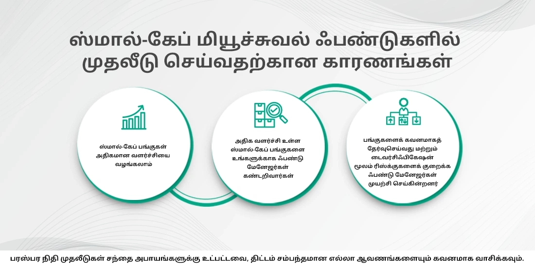 ஸ்மால் கேப் மியூச்சுவல் ஃபண்டுகள் என்றால் என்ன?