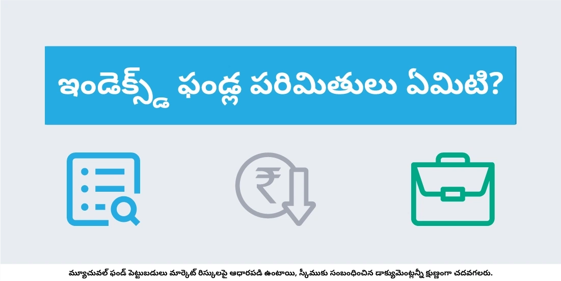ఇండెక్స్ ఫండ్ల పరిమితులు ఏమిటి?
