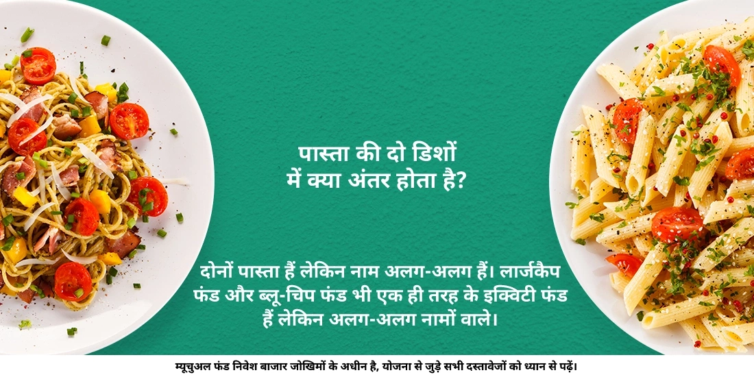 लार्ज कैप और ब्लू-चिप फंड्स में क्या अंतर है?