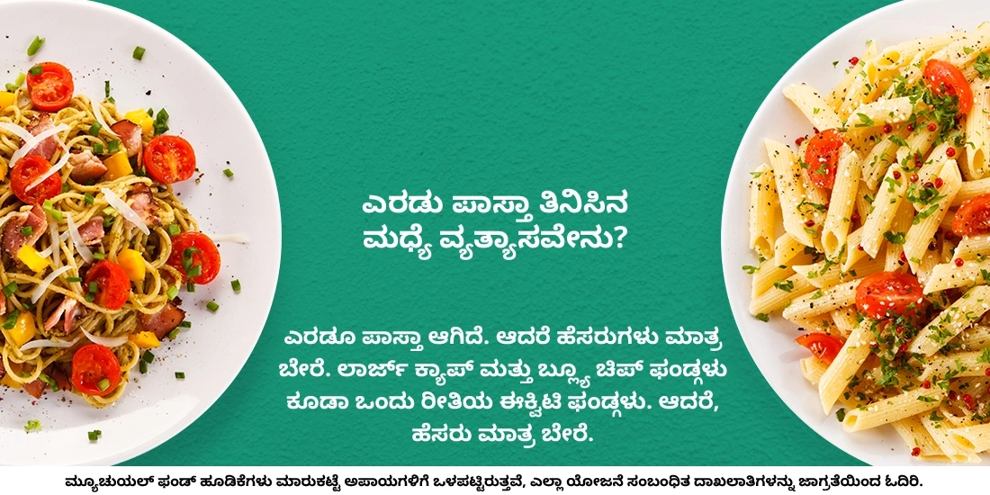 ಲಾರ್ಜ್ ಕ್ಯಾಪ್ ಮತ್ತು ಬ್ಲ್ಯೂ ಚಿಪ್ ಫಂಡ್ಗಳ ಮಧ್ಯೆ ವ್ಯತ್ಯಾಸವೇನು?