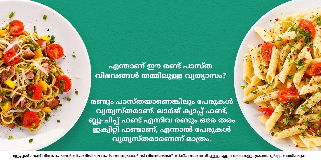 എന്താണ് ലാര്ജ് ക്യാപ്പ്, ബ്ലൂ-ചിപ്പ് ഫണ്ടുകള് തമ്മിലുള്ള വ്യത്യാസം?