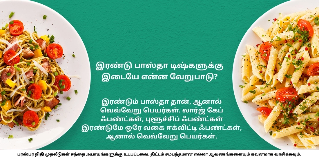 லார்ஜ் கேப் மற்றும் புளூ-சிப் ஃபண்டுகளுக்கு இடையே உள்ள வேறுபாடு என்ன?