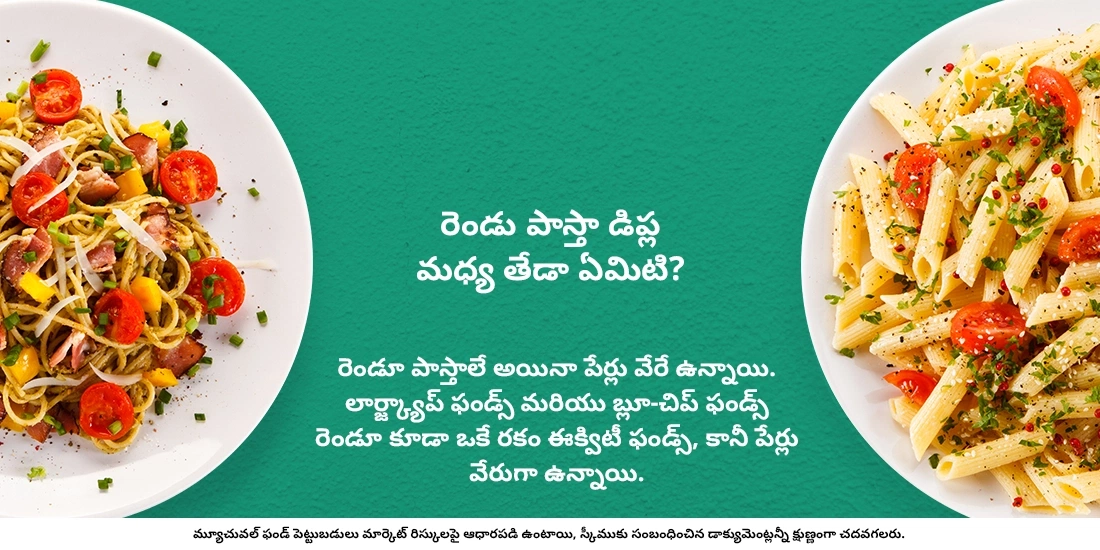 లార్జ్ క్యాప్ మరియు బ్లూ-చిప్ ఫండ్స్ మధ్య తేడా ఏమిటి?