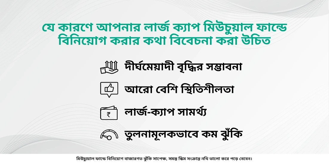 কেন আপনাকে লার্জ ক্যাপ ফান্ডে বিনিয়োগ করার কথা বিবেচনা করা উচিত?