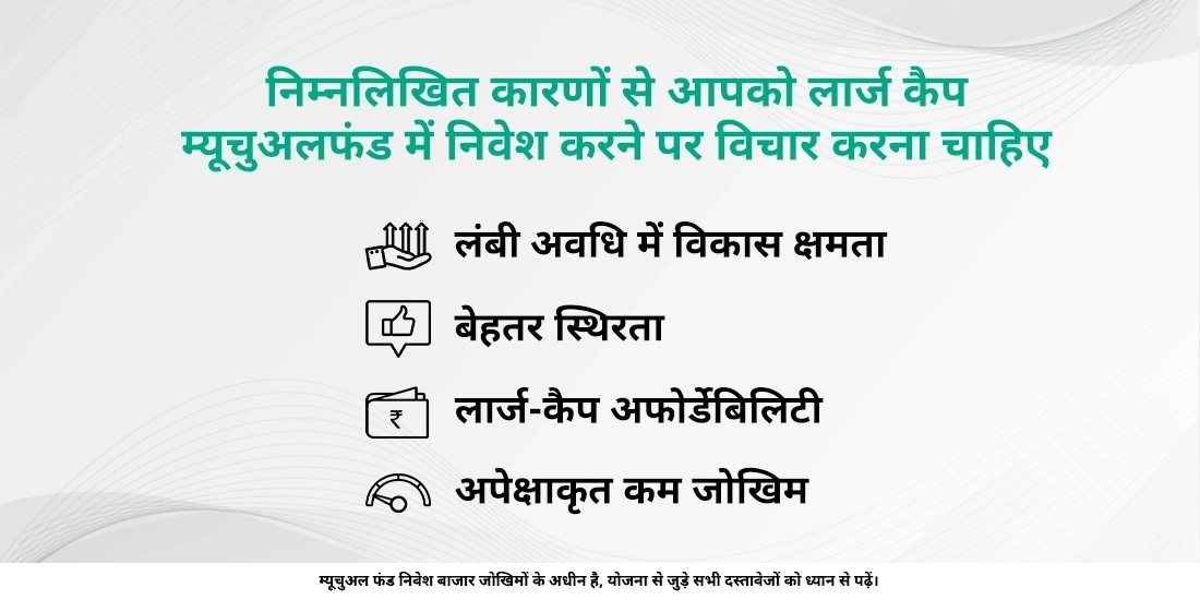 आपको लार्ज कैप फंड में निवेश क्यों करने पर विचार करना चाहिए?