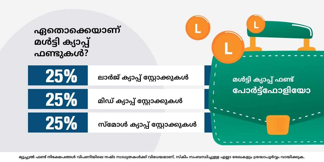 ഏതൊക്കെയാണ് മൾട്ടി ക്യാപ്പ് ഫണ്ടുകൾ?