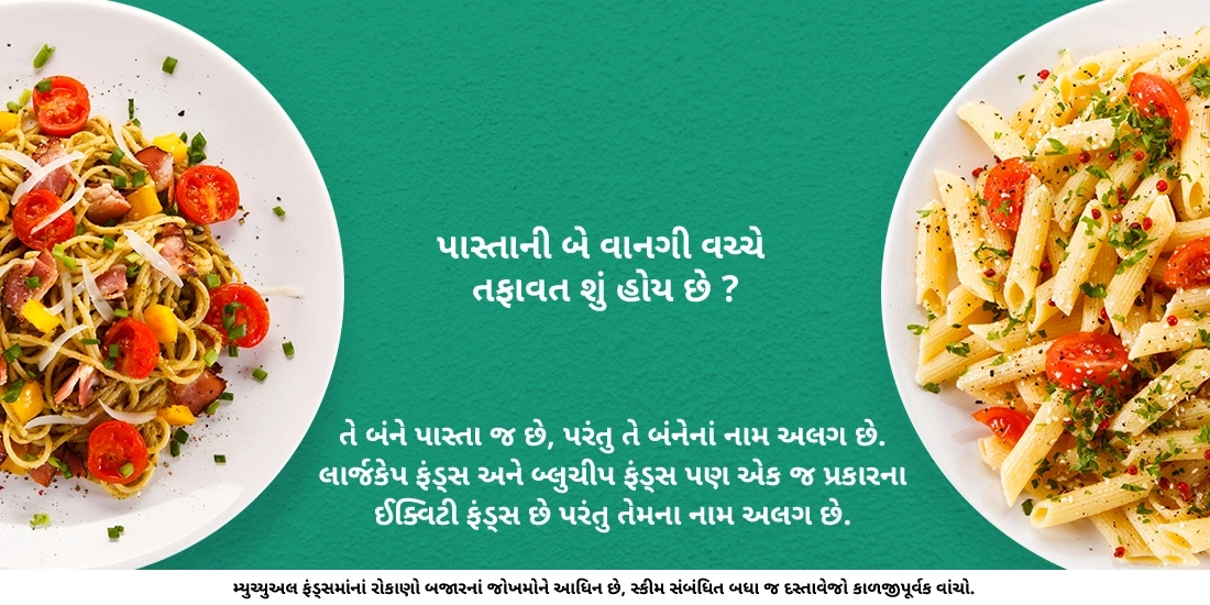 લાર્જકેપ અને બ્લુચીપ ફંડ્સ વચ્ચે શું તફાવત છે ?