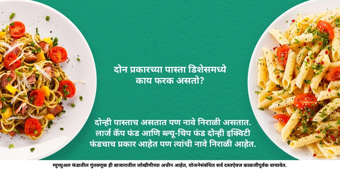 लार्ज कॅप आणि ब्ल्यू-चिप फंड्समध्ये काय फरक आहे?